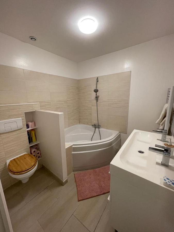 Bel Appartement Grande Terrasse Avec Parking A Dijon Dış mekan fotoğraf