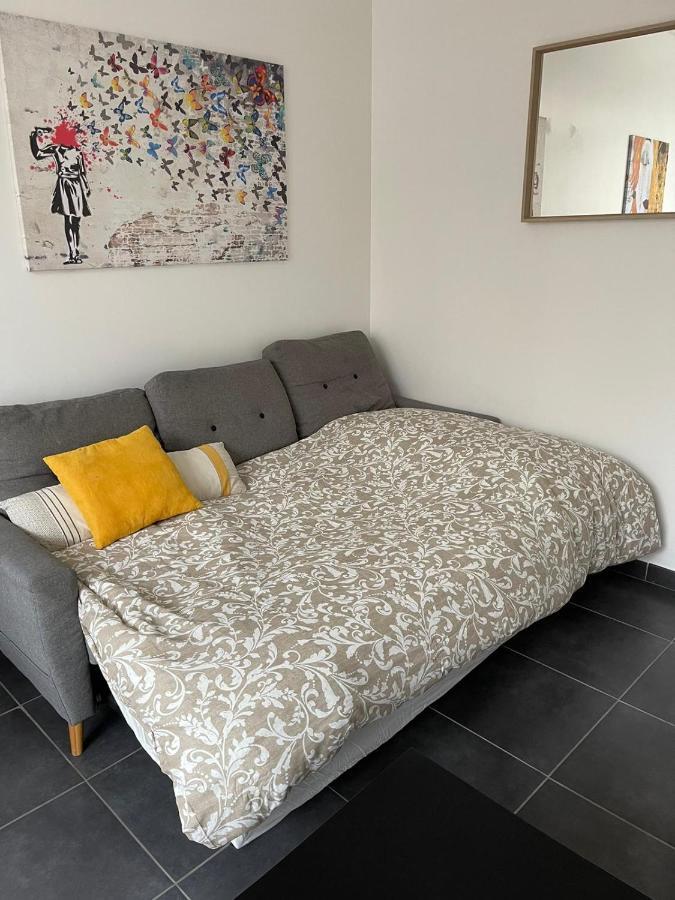 Bel Appartement Grande Terrasse Avec Parking A Dijon Dış mekan fotoğraf